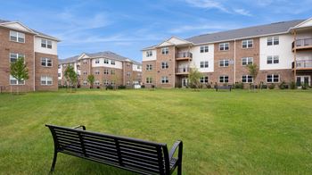 Green lawn